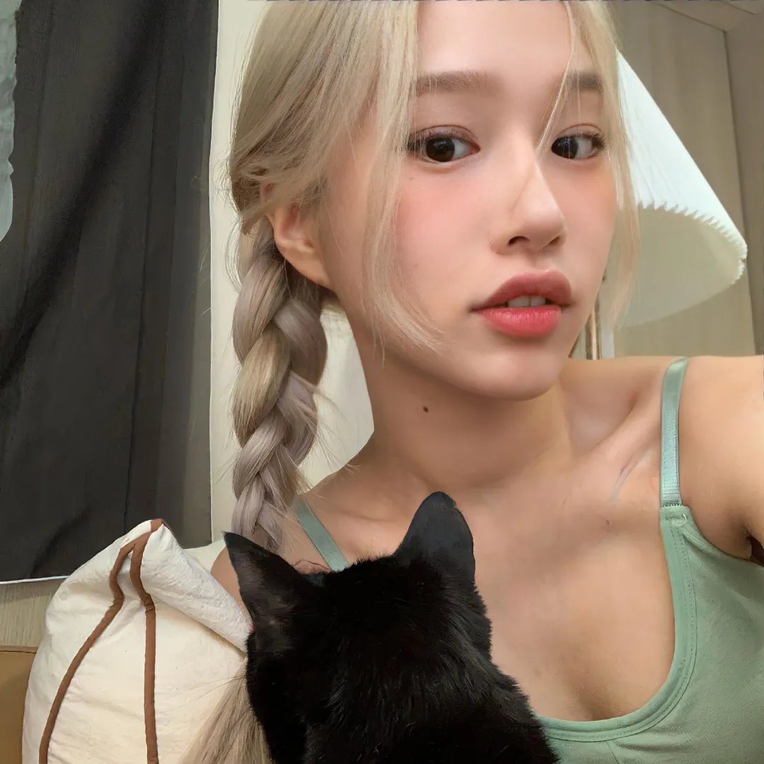 高速路上一只猫