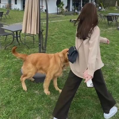 人口零增长